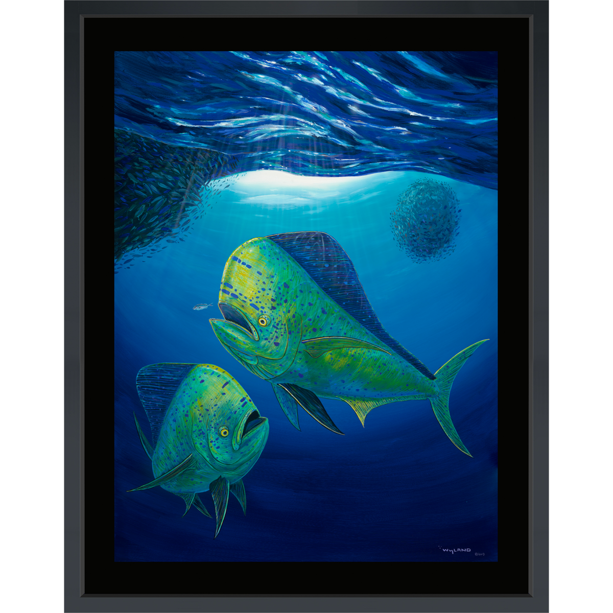 Product Image for Mahi Mahi - Limited Edition Fine Art Print