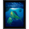 Mahi Mahi - Limited Edition Fine Art Print