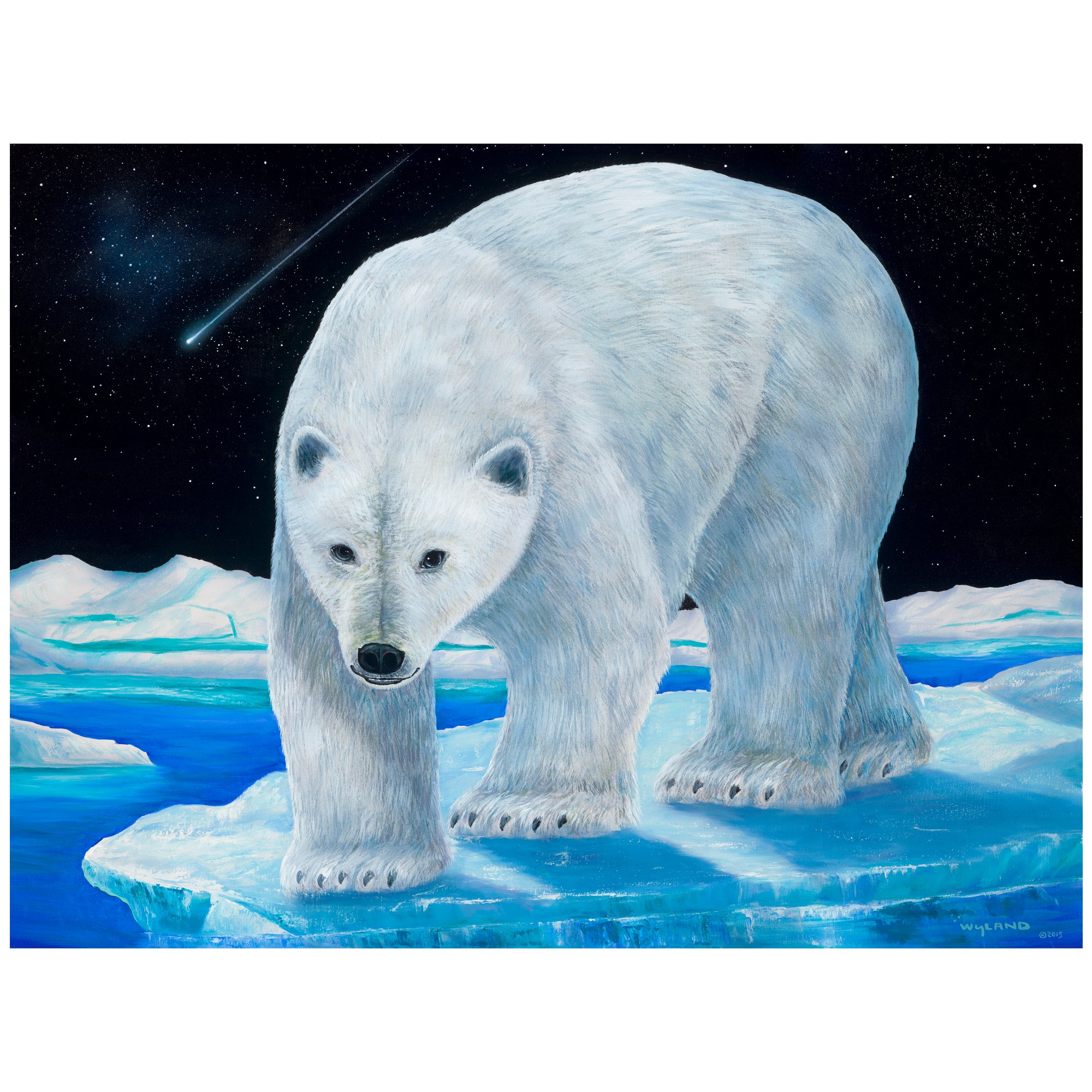 Ice Bear - Limited Edition Fine Art Print