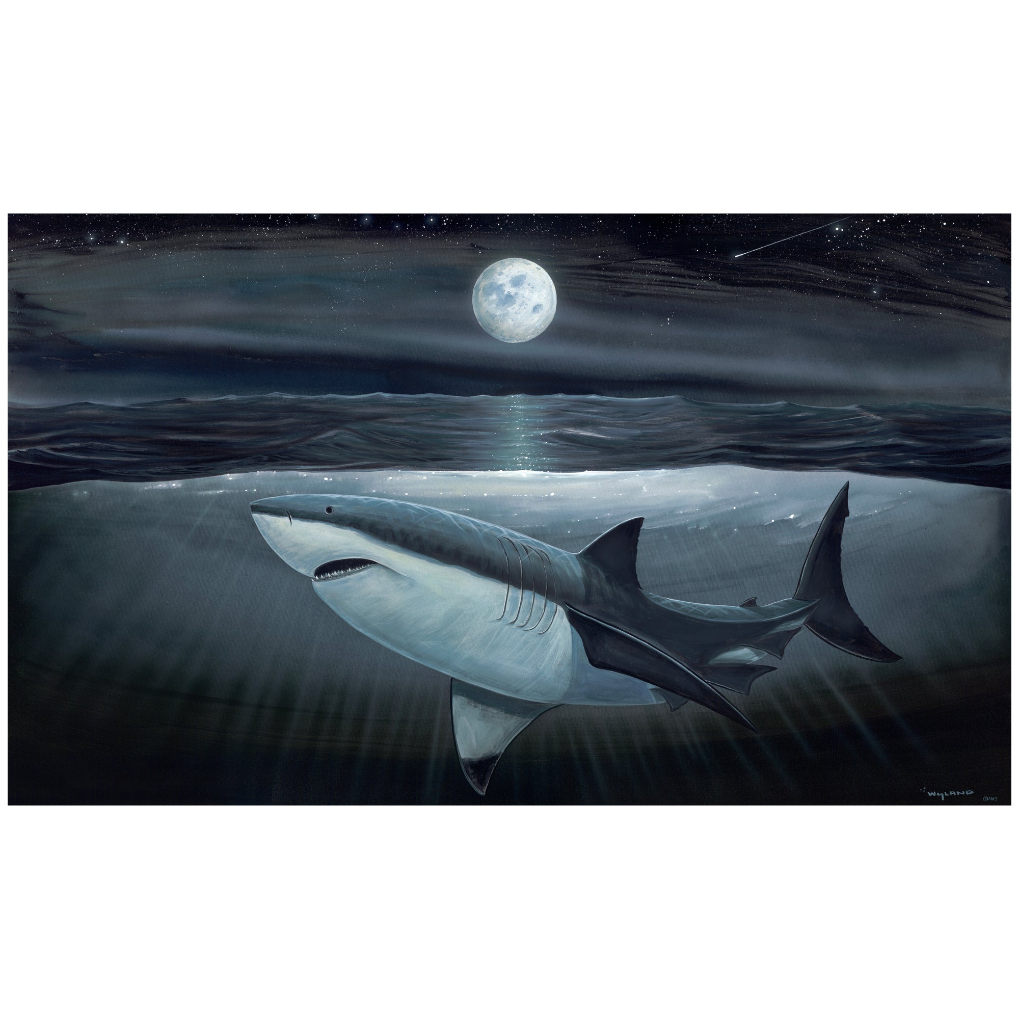 La Luna del Tiburón - Limited Edition Fine Art Print