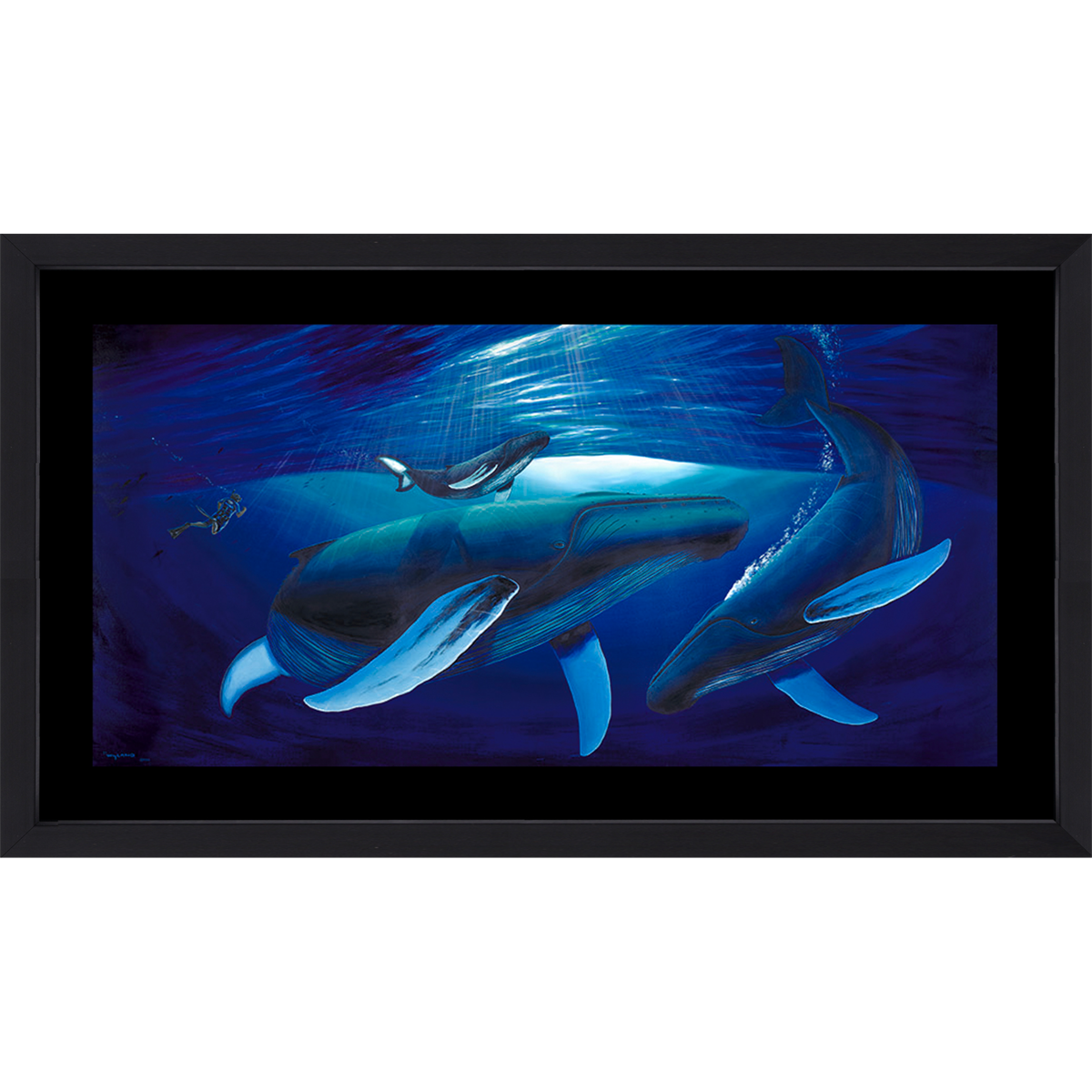 Product Image for Diving with Great Whales - Limited Edition Fine Art Print