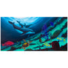 Coral Reef Below - Limited Edition Fine Art Print