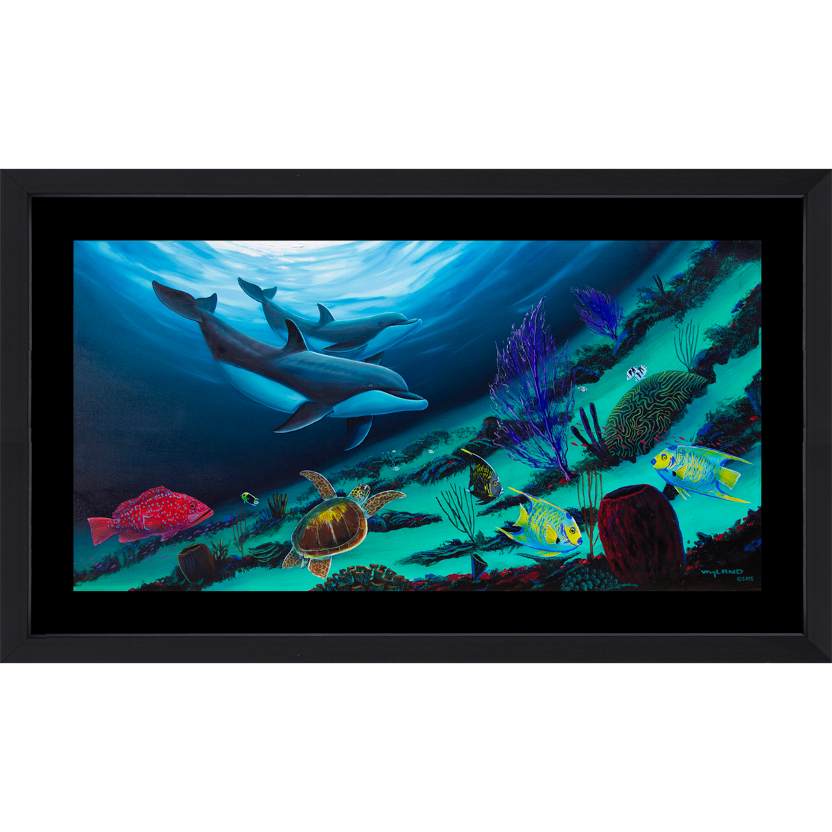 Product Image for Coral Reef Below - Limited Edition Fine Art Print