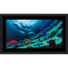 Coral Reef Below - Limited Edition Fine Art Print