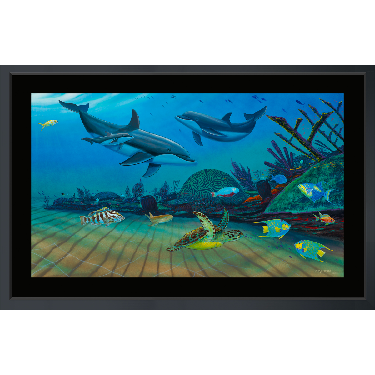 Product Image for Your Dolphin Paradise - Limited Edition Fine Art Print