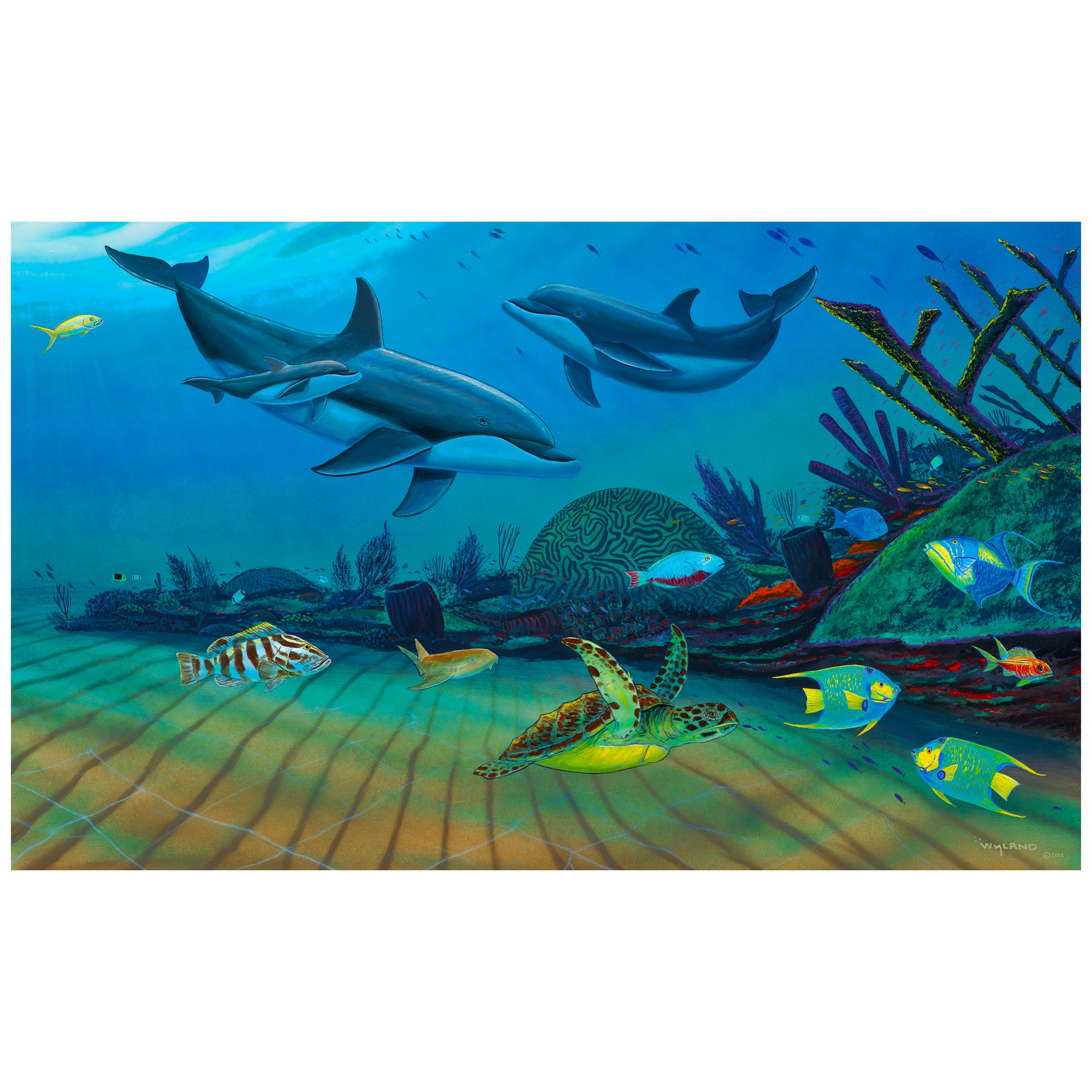 Your Dolphin Paradise - Limited Edition Fine Art Print