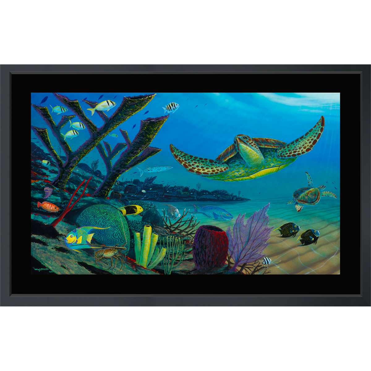 Product Image for Your Sea Turtle Paradise - Limited Edition Fine Art Print