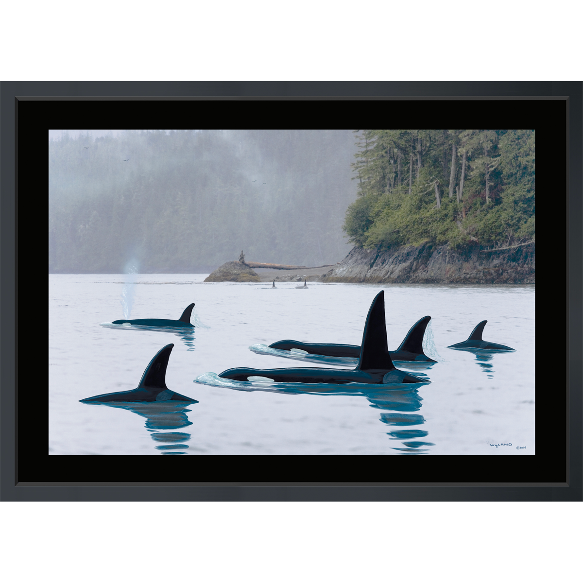 Product Image for Pacific Northwest Calling - Limited Edition Fine Art Print